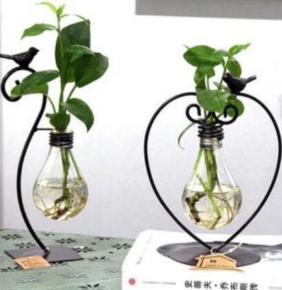Vase Décoratif Hydroponique – Élégance Minimaliste pour Plantes Intérieures