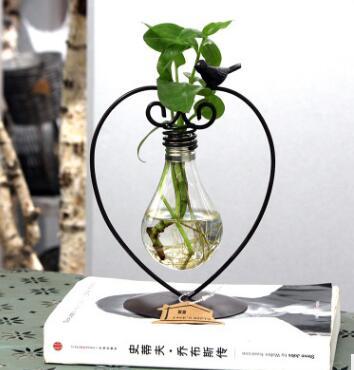 Vase Décoratif Hydroponique – Élégance Minimaliste pour Plantes Intérieures